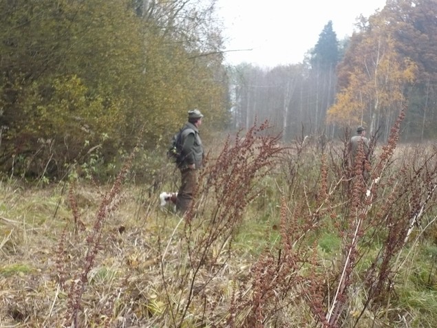 Konopiste_8.11.2009 (4).JPG